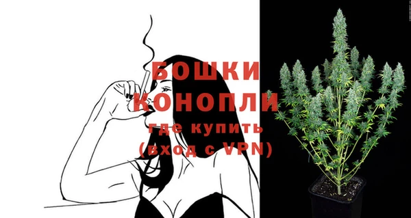 крисы Мегион