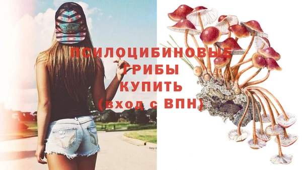 стафф Лиски