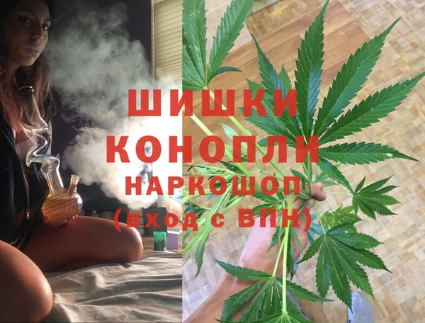 крисы Мегион