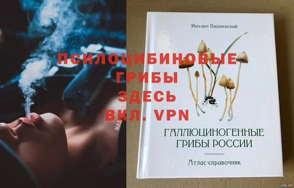 крисы Мегион