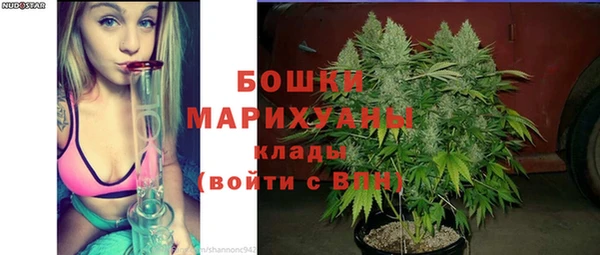 МДПВ Майский