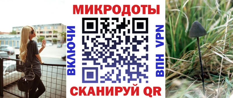 как найти   Нелидово  кракен ссылки  Галлюциногенные грибы мицелий 
